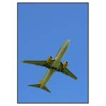 Eine Boeing 737 der Tuifly nach dem Start in Stuttgart-Echterdingen.