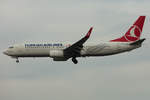 Turkish Airlines, TC-JVK, Boeing, B737-8F2, 24.11.2019, FRA, Frankfurt, Germany            
