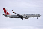 THY Turkish Airlines, TC-JYM, Boeing B737-9F2ER, msn: 42011/5303,  Inceburun , 15.Januar 2024, ZRH Zürich, Switzerland.