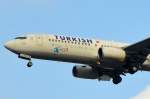 TC-JFE Turkish Airlines Boeing 737-8F2(WL) HATAY    am 21.11.2014 Landeanflug Tegel