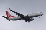 TC-JHT Turkish Airlines Boeing 737-8F2(WL)  beim Anflug Tegel am 21.09.2016