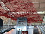 Zugang zum Terminal 1 im Flughafen Berlin-Brandenburg  Willy Brandt  (BER-EDDB) am 20.