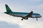 Aer Lingus, Airbus A 320-214, EI-DEG, BER, 29.12.2022