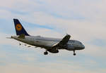 Lufthansa Airbus A 319-114 D-AILN  Idar-Oberstein , TXL, 10.08.2019