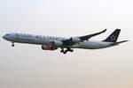 South African Airways Airbus A340-642 ZS-SNC, cn(MSN): 426,  Star Alliance , 
Frankfurt Rhein-Main International, 23.05.2019.