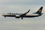 Ryanair, EI-FTE, Boeing, B737-8AS, 24.11.2019, FRA, Frankfurt, Germany        