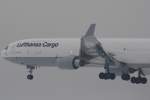 Lufthansa Cargo   McDonnell Douglas MD-11F   D-ALCP  Frankfurt  04.01.11