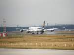 Ein Lufthansa Airbus A 340-600 beim Aufsetzen in Frankfurt am Main am 16.07.2008