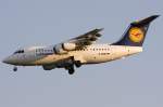 Lufthansa City Line, D-AVRE, BAe-Avro, ARJ85, 21.04.2009, FRA, Frankfurt, Germany 



