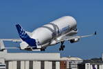 F-GXLH , Airbus Transport International , Airbus A330-743L Beluga XL , Hamburg-Finkenwerder , 07.04.2026 ,