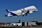 F-GXLJ , Airbus Transport International , Airbus A330-743L Beluga XL , Hamburg-Finkenwerder , 08.04.2026 ,