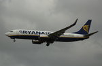 Ryanair, EI-EBL,(c/n 37529),Boeing 737-8AS(WL), 29.10.2016, HAM-EDDH, Hamburg, Germany 