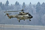 Swiss Air Force, T-321, Aerospatiale AS.332 M Super Puma, msn: 2353, 22.Januar 2026, ZRH Zürich, Switzerland.