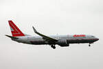 Lauda, OE-LNS, Boeing B737-8Z9, msn: 34262/1720, 10.Oktober 2008, ZRH Z�rich, Switzerland.