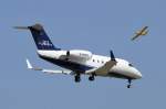 JET Executive Canadair CL-600S D-BUSY 02.05.2008 Palma de Mallorca