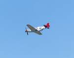 North American P51C Mustang, N61429, Tuskegee beim Display der Airshow Sun`n Fun am Lakeland-Linder Int.Airport (LAL/KLAL), 17.4.2026