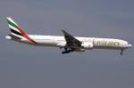 Emirates, A6-ECI, Boeing, B777-31H-ER, 24.04.2010, FRA, Frankfurt, Germany     