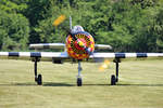 Private, Yak-52, SP-YMG, Flugplatz Bienenfarm, 18.05.2019