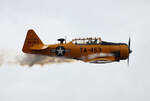 Private North American T-6G Texan, D-FPAE, Fluglatz Bienenfarm, 01.07.2023
