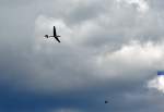 Schleicher ASK 13 - D-0080 nach Startabbruch, Schleppseil verschwindet gerade am unteren Bildrand - Bonn-Hangelar 07.07.2012