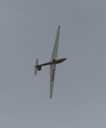 Marganski MDM-1 FOX, D-5595 Teilnehmer der 23.DM im Segelkunstflug 2016 in Gera (EDAJ)