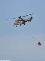 AS 332 COUGAR der Schweizer Luftwaffe (T317) mit Löschwasser-Außenlastbehälter, eingesetzt zur Waldbrandbekämpfung bei Dragas. Aufgenommen bei Prizren, September 2015.