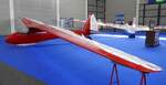 WWS-3 DELFIN, polnisches Segelflugzeug OY-DYX, Erstflug 1937, Spannweite 16m, ausgestellt AERO-Friedrichshafen April 2025