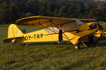 Private, OY-TRP, Piper, L-4H Cub, 15.09.2019, EDST, Hahnweide, Germany        