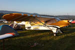 Private, D-EDRY, Piper, PA-18-95 Super Cub, 15.09.2019, EDST, Hahnweide, Germany                