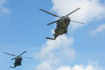 NATO Evakuierungsübungen mit Helicopter NH-90 mit der Bezeichnung 78+33 und 78+28 im Landeanflug  in Sassnitz am Hafen. - 07.05.2022

