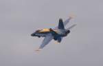 Eine F-18 der Blue Angels donnert über das Flugfeld.