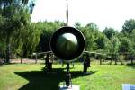 Frontansicht der NVA Mig-21PFM 821 im Flugplatzmuseum Cottbus am 24.07.2011