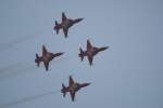 Vier Northrop F5-Tiger II der Patrouille Suisse auf der ILA Berlin-Schnefeld am 12.06.10