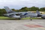 Germany Air Force, 43+50, Panavia, Tornado-IDS, 29.08.2014, LSMP, Payerne, Switzerland           