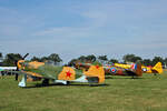 Private Yakovlev Yak-9UM, D-FIST, T-6 Harvard, D-FAME, T-6JG Texan, D-FPAE, Flugplatz Bienenfarm, 01.07.2023