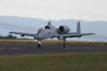 Jetmodell Fairchild-Republic A-10 Thunderbolt II ('Warthog'), bereit zum Start bei der JetPower-Messe 2016 auf dem Flugplatz Bengener Heide in Bad Neuenahr-Ahrweiler.