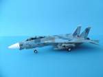 Grumman F-14A Tomcat von Witty Wings in 1:72