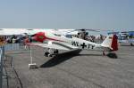 D-EFTY. Hier weht einem noch der Fahrtwind krftig in das Gesicht. Oldtimer. Foto: ILA 2008, 30.05.2008