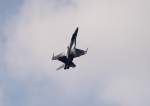 Finnland Air Force F/A-18C Hornet HN-441 bei der Flugvorfhrung auf der ILA 2012 am 16.09.2012