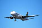Airbus A320 der Afrigiyah Airlines mit der Werkskennung F-WWBN im Anflug auf Hamburg Finkenwerder am 08.03.11