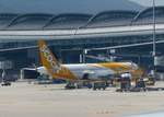SCOOT, Airbus A 320-271N, 9V-TNA am Gate in Hong kong (HKG) am 12.9.2019