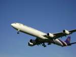 Airbus A340-600 der Thai vor der Landung in Zrich (7.8.08).