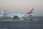 Ein A380 der Emirates in Dubai am 21.12.12