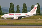 Tunisair, TS-IOQ, Boeing B737-6H3, msn: 29501/563,   Bizerte ,  60 ans  Bemalung, 21.Juni 2008, BSL Basel - Mühlhausen, Switzerland.