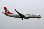 Turkish Airlines, Boeing B 737-8F2, TC-JHV, TXL, 24.11.2018