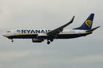 Ryanair, EI-DPB, Boeing, B737-8AS, 24.11.2019, FRA, Frankfurt, Germany        