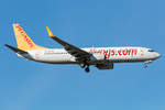 Pegasus Airlines, TC-CPE, Boeing, B737-82R, 14.02.2021, FRA, Frankfurt, Germany