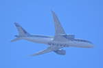 A7-BDD Qatar Airways Boeing 787-8 Dreamliner , über Potsdam , am 11.08.2020