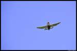Ein kleines Propellerflugzeug flog am 17. Juni 2012 nhe Treuchtlingen ber uns hinweg...
(Kategorisierung erbeten)