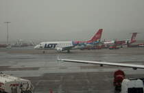 LOT Polish Airlines, SP-LDF, (c/n 170000035),Embraer ERJ170-100LR, 20.01.2017, HAM-EDDH, Hamburg, Germany (Ptasie Mleczko livery) 